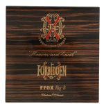 FFOX “Heaven and Earth” Big B