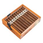 Foundation Charter Oak Habano Petite Corona