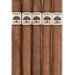 Foundation Charter Oak Habano Petite Corona