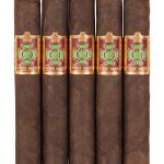 Foundation Wise Man Maduro Robusto