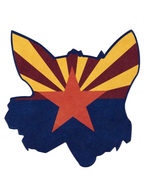 Fox Arizona Drink Coasters (12pk)