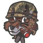 Fox Military Drink Coasters (12pk)