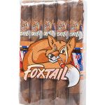 Foxtail Barber Pole Gordo