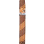 Foxtail Barber Pole Robusto