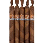 Foxtail Barber Pole Toro
