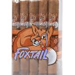 Foxtail Connecticut Gordo