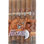 Foxtail Connecticut Robusto