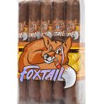 Foxtail Corojo Gordo