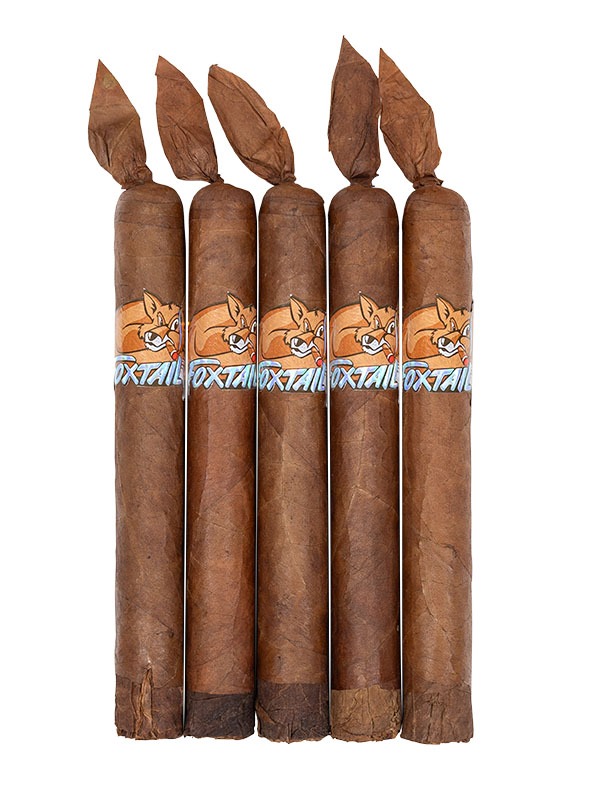 Foxtail Corojo Gordo