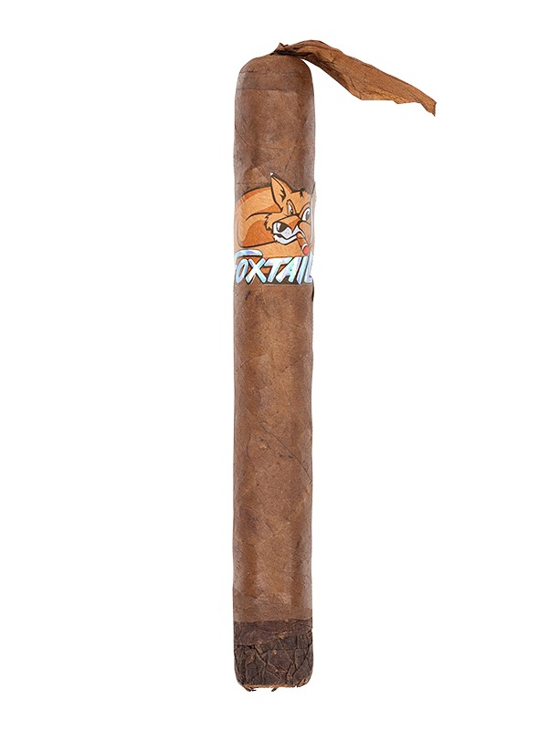 Foxtail Corojo Gordo