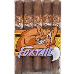 Foxtail Corojo Robusto