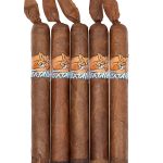 Foxtail Corojo Robusto