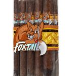 Foxtail Corojo Toro