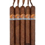 Foxtail Corojo Toro