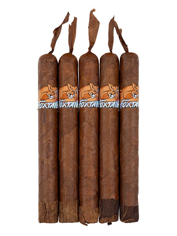 Foxtail Corojo Toro