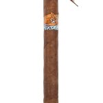 Foxtail Corojo Toro