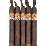 Foxtail Maduro Gordo