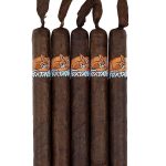 Foxtail Maduro Toro