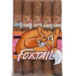 Foxtail Sweet Tip Robusto