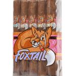 Foxtail Sweet Tip Robusto