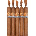 Foxtail Sweet Tip Robusto