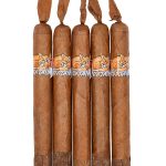 Foxtail Sweet Tip Toro