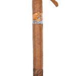 Foxtail Sweet Tip Toro