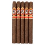 God of Fire Double Corona