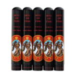God of Fire Serie B Double Robusto Tubo