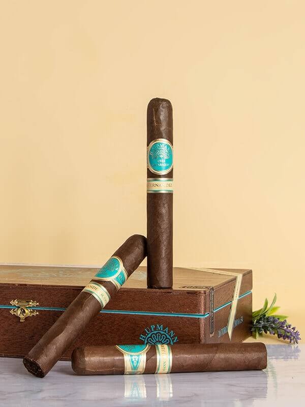 H. Upmann By AJ Fernandez Toro En Tubo