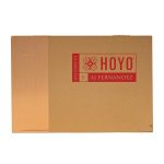 Hoyo La Amistad Gold Robusto