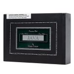 Java Mint Corona