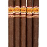 La Aurora Cameroon 1903 Churchill