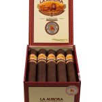 La Aurora Cameroon 1903 Gran Toro
