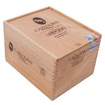 La Aurora Cazadores Nicaragua Gordo
