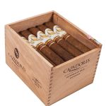 La Aurora Cazadores Nicaragua Robusto