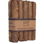 Leaf By Oscar Connecticut Toro