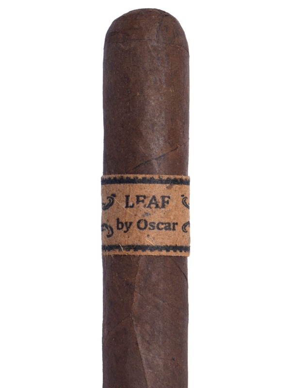 Leaf By Oscar Maduro Toro