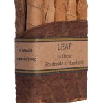 Leaf By Oscar Sumatra Toro