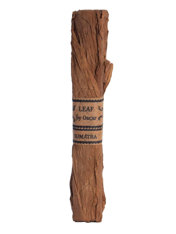 Leaf By Oscar Sumatra Toro