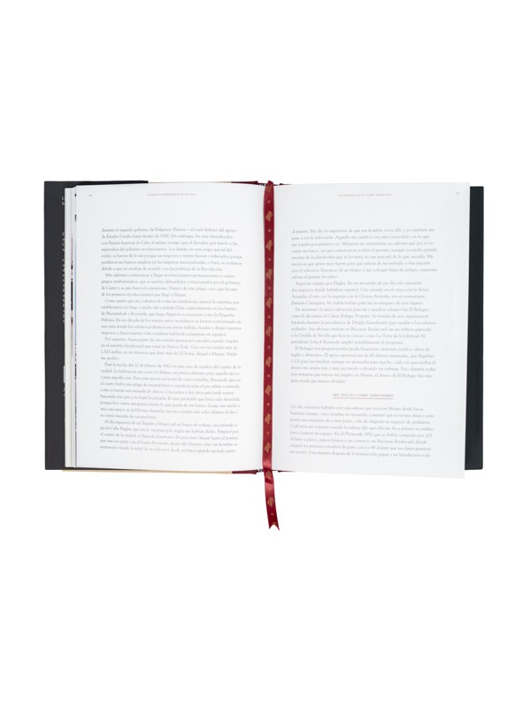 Memorable Moments In My Life by José O. Padrón (Spanish Version)