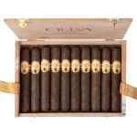Oliva Serie O Maduro Double Toro