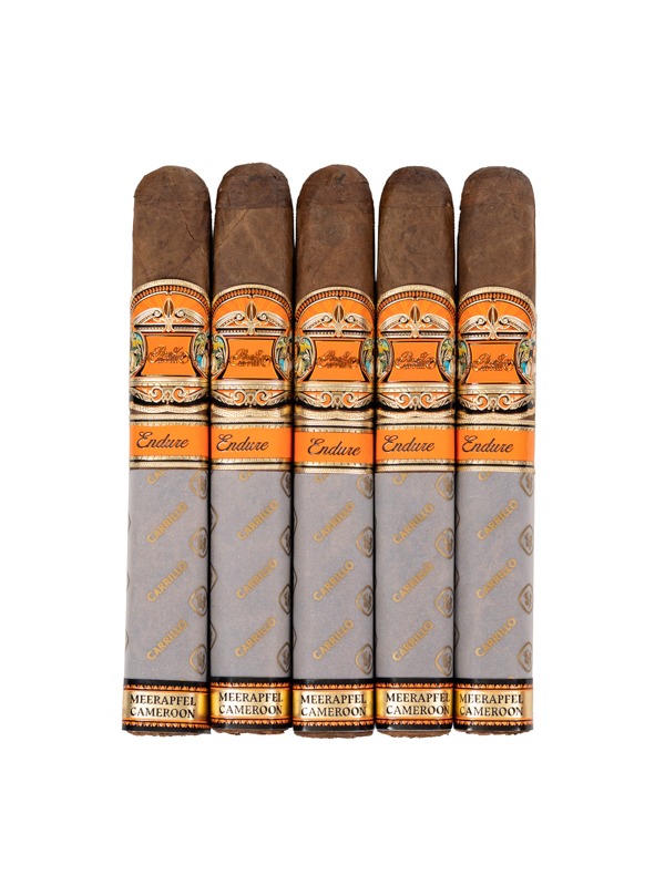 Perez-Carrillo Endure Toro