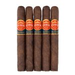 Punch Clasico London Club Maduro