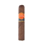 Punch Clasico Maduro Rothschild