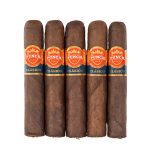 Punch Clasico Maduro Rothschild