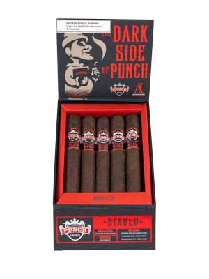 Punch Diablo Brute