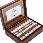 Rocky Patel Dark Star Robusto