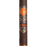 Rocky Patel DBS Robusto