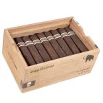 RoMa Craft Aquitaine Mastodon